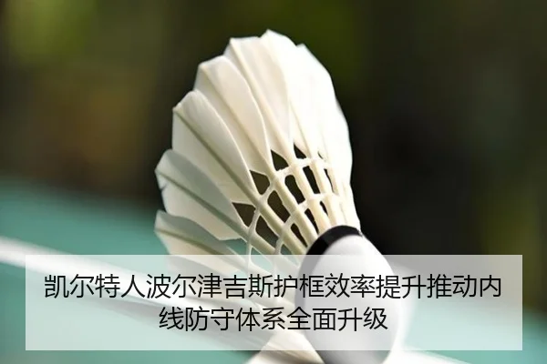 凯尔特人波尔津吉斯护框效率提升推动内线防守体系全面升级