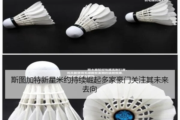 斯图加特新星米约持续崛起多家豪门关注其未来去向