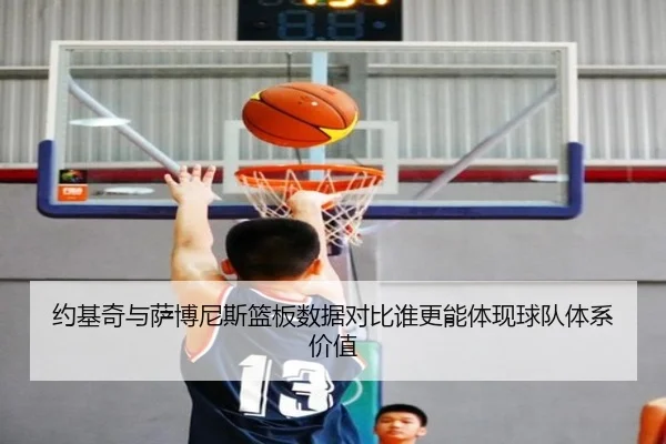约基奇与萨博尼斯篮板数据对比谁更能体现球队体系价值